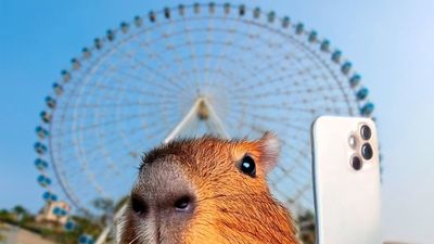 Gramado Parks aposta em inteligncia artificial para acelerar resultados de Marketing
